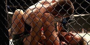 Bochornoso final: Khabib sometió a Mcgregor para retener título ligero y desató una batalla campal Bochornoso final: Khabib sometió a Mcgregor para retener título ligero y desató una batalla campal