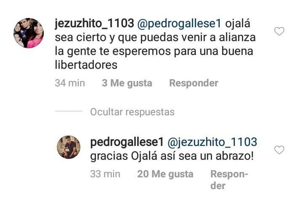 Pedro Gallese dice "ojalá" a su posible pase a Alianza Lima. (Foto: Instagram)