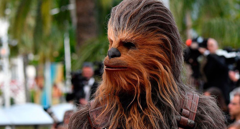 Un bebé y Chewbacca se encontraron en el parque temático de Disney y causó gran sensación en un video viral de Facebook.