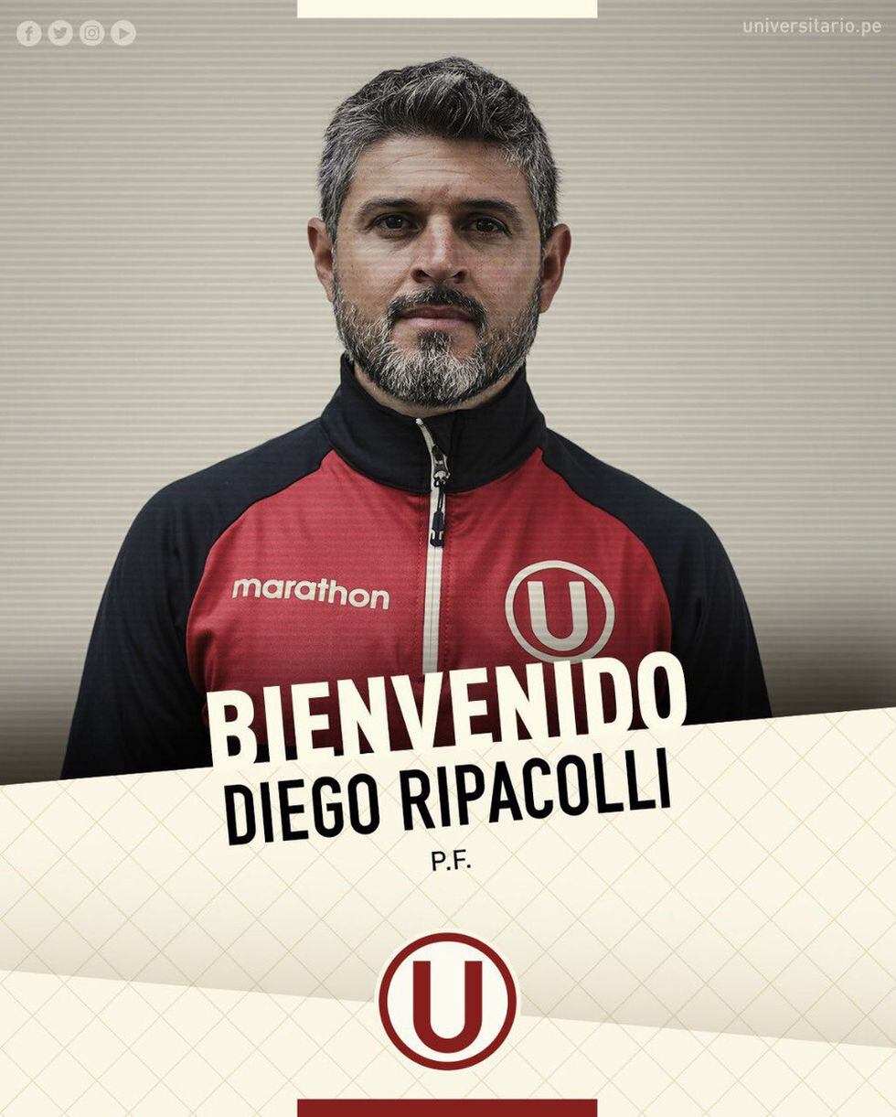 Universitario |
