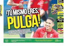 ¡Tú Mismo Eres Pulga!